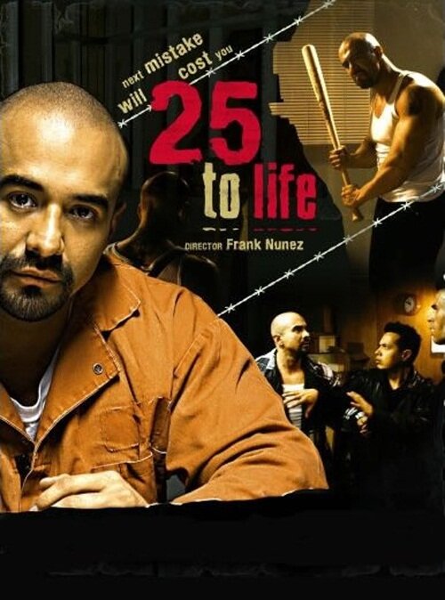 25 to Life (2008)