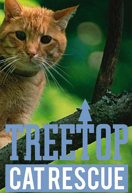 Снимите кошку с дерева (2015)