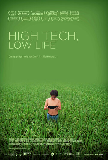 Высокие технологии, низкие истины (2012)