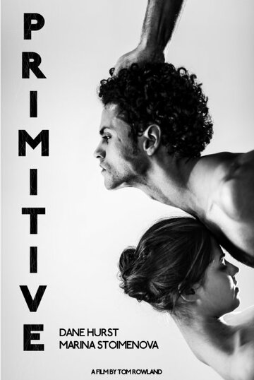 Primitive (2014)