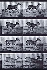 Virginia Deer, Buck, Galloping (1887)