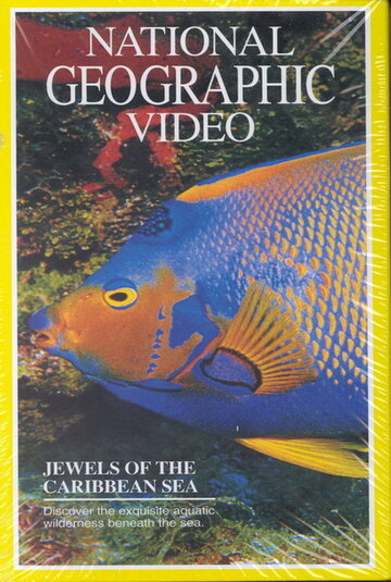 National Geographic: Жемчужины Карибского моря (1994)