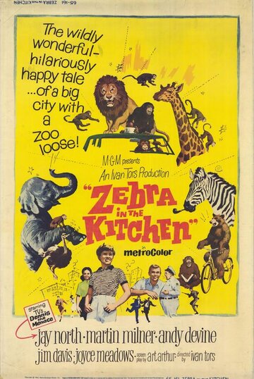 Зебра на кухне (1965)